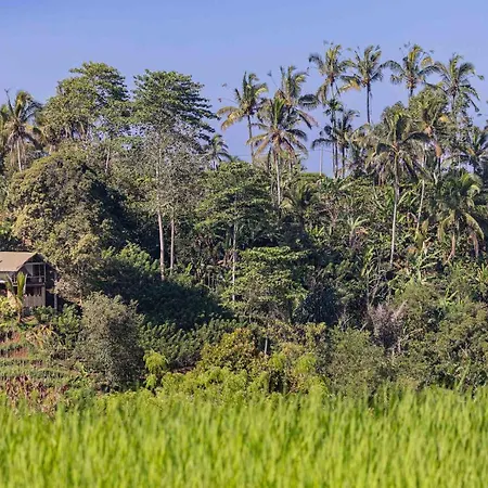 Sanda Plantation Hideaway Exterior photo