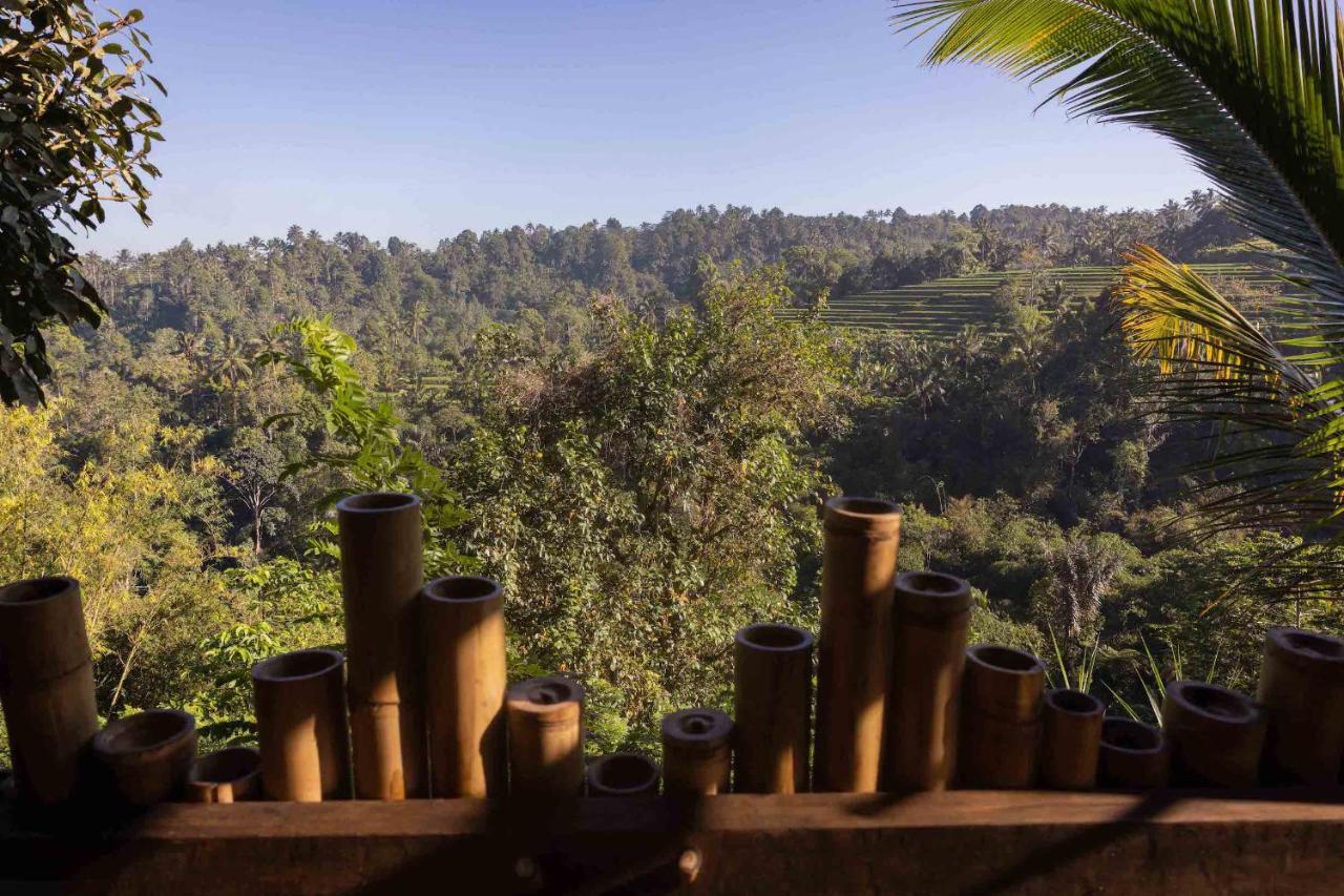 Plantation Hideaway Luxury tent Sanda