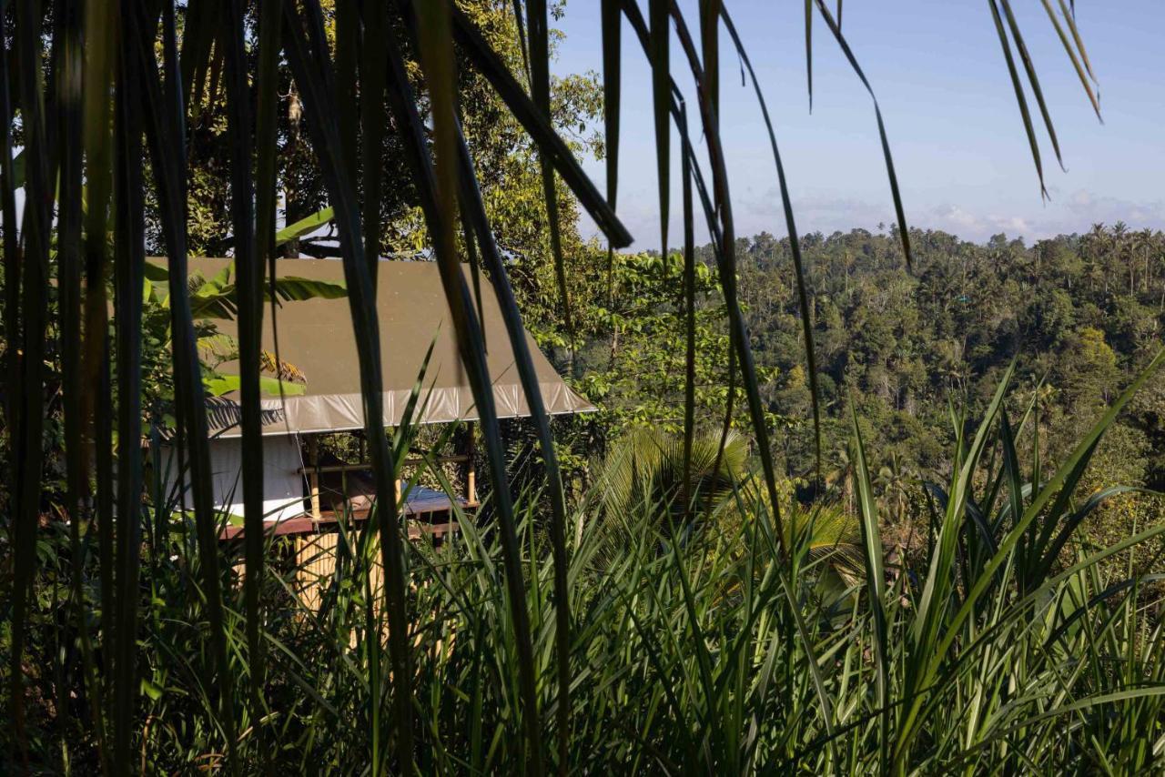 Plantation Hideaway *