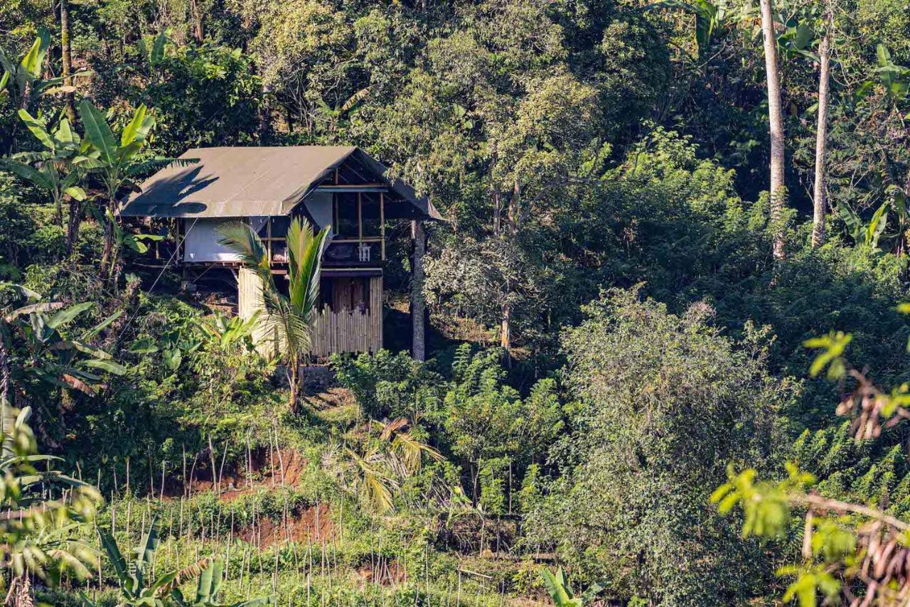 Plantation Hideaway Tenda mewah