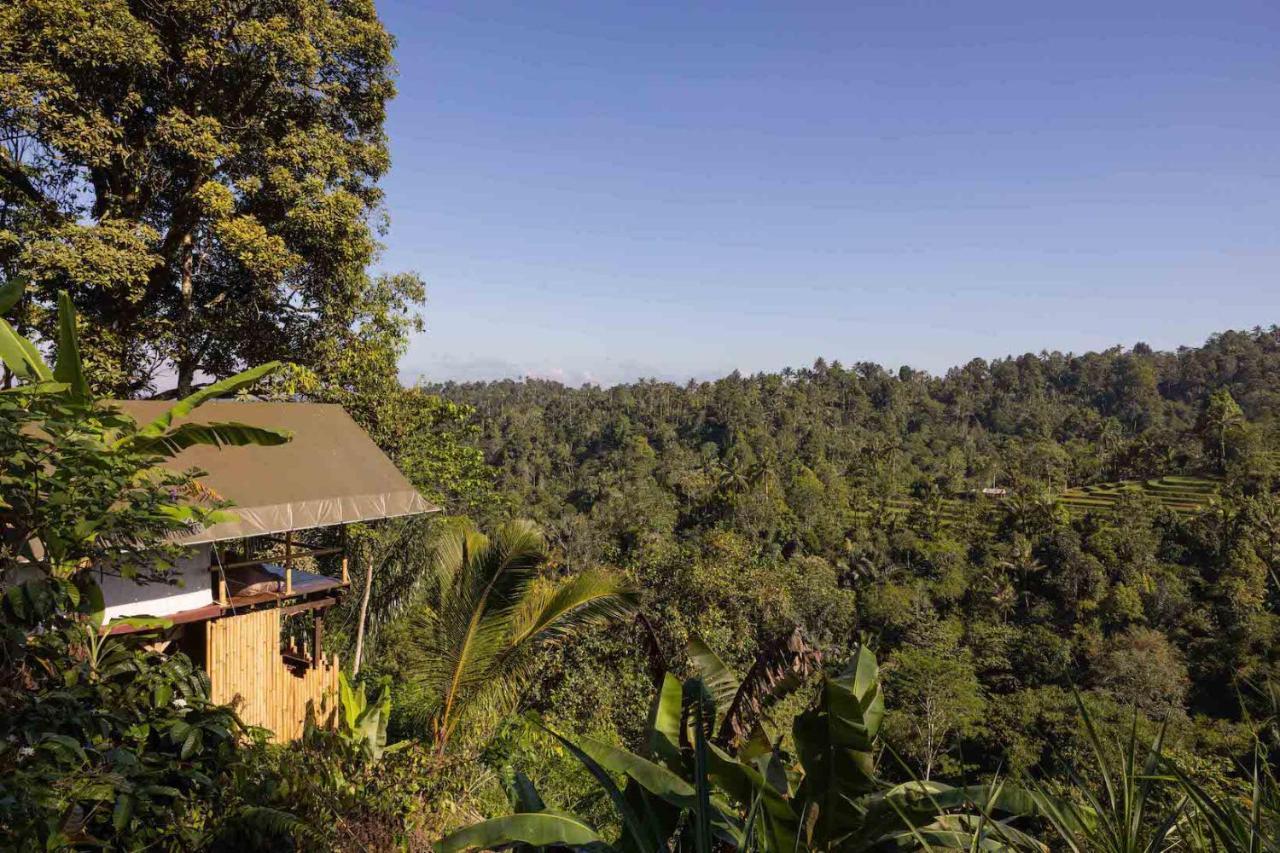 Plantation Hideaway