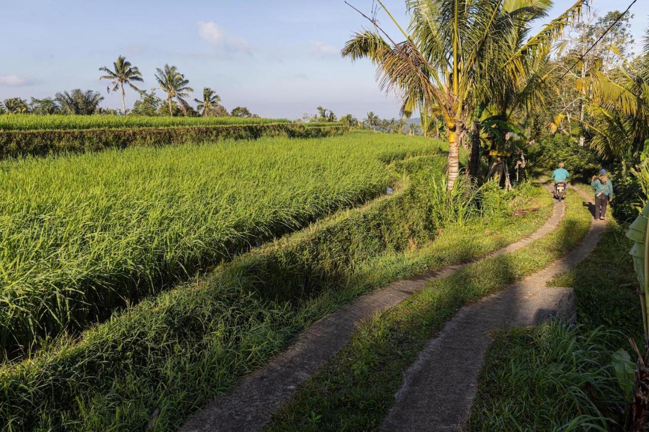 Plantation Hideaway Tenda mewah Sanda