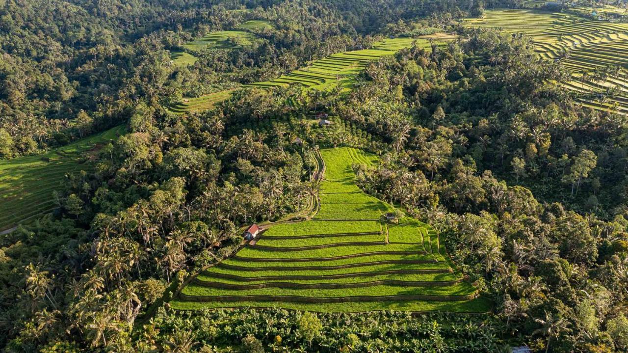 Luxury tent Plantation Hideaway Sanda