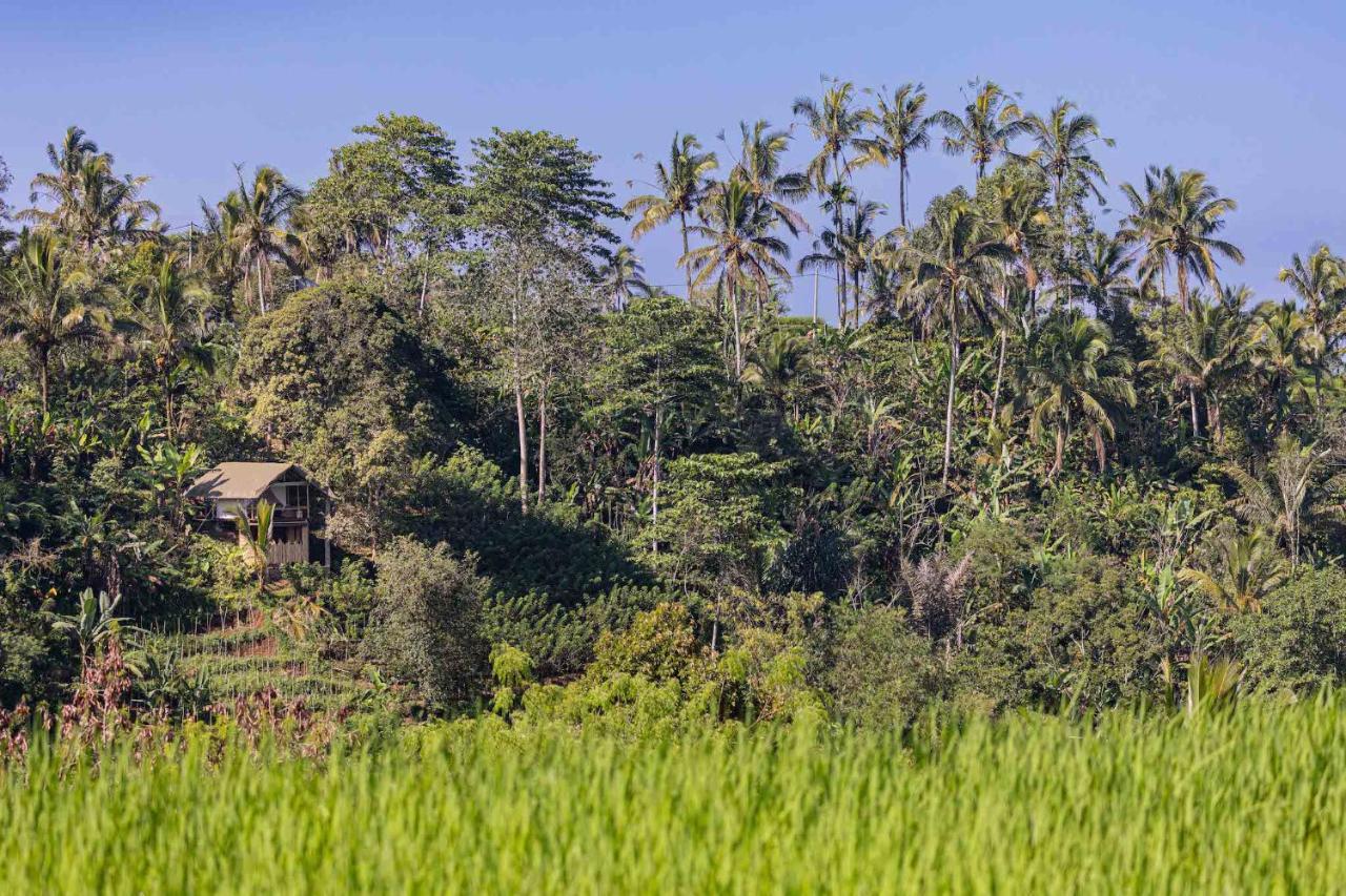 Plantation Hideaway * Sanda