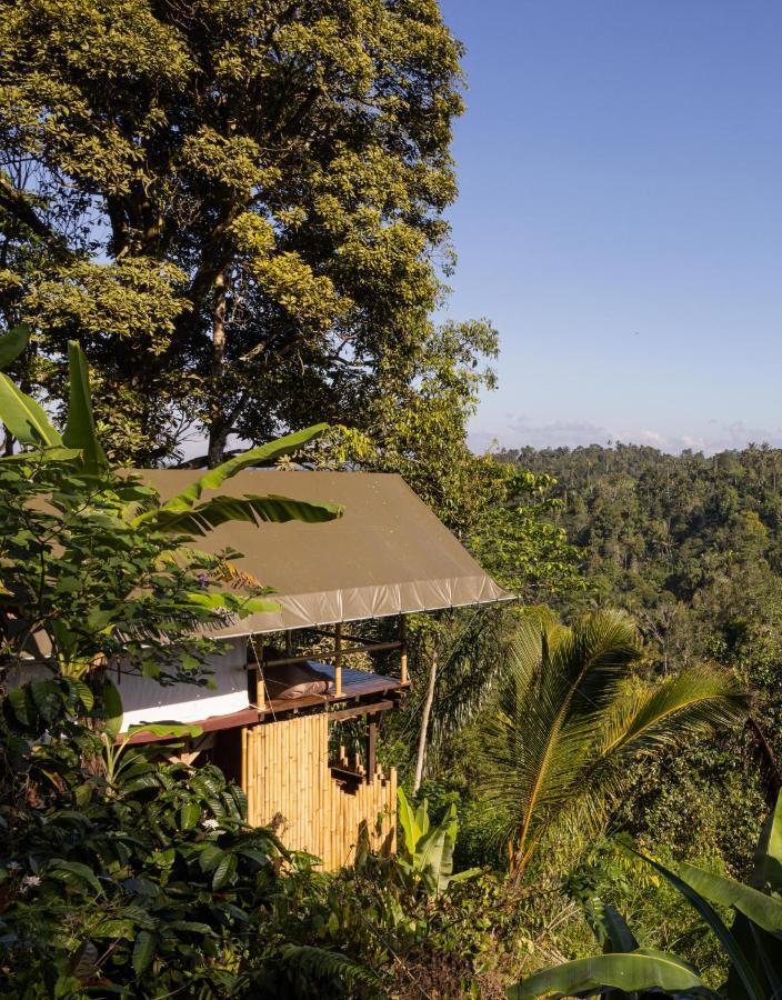 Plantation Hideaway Luxury tent Sanda